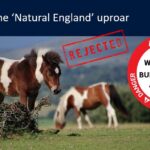 Unnatural England