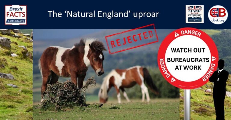 Unnatural England