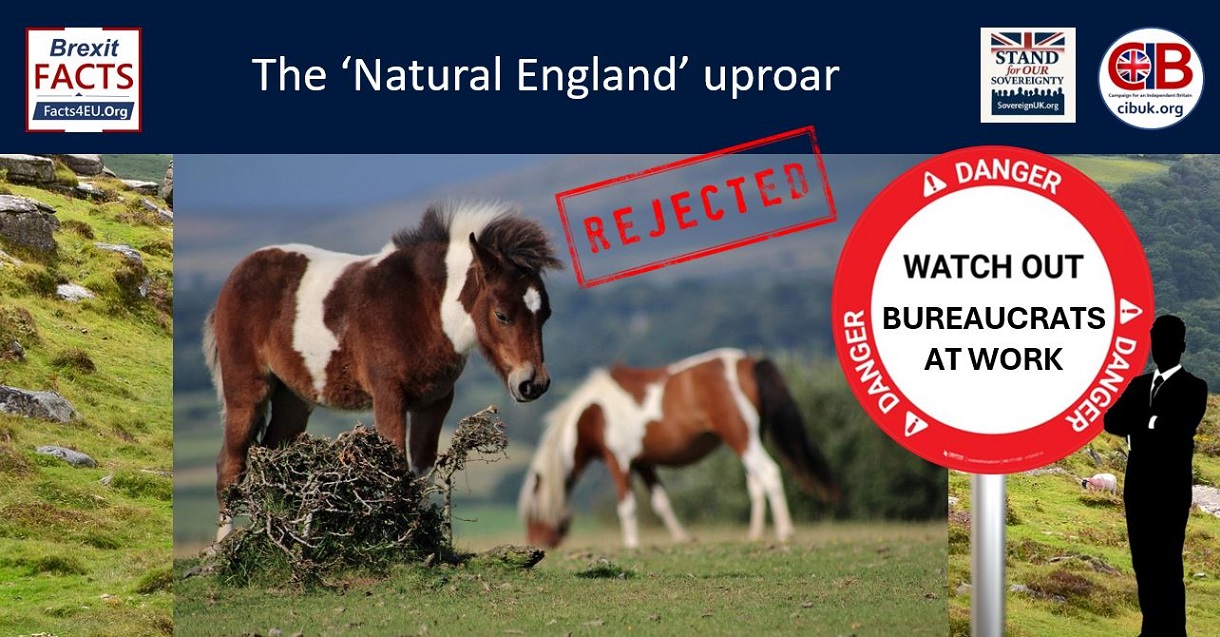 Unnatural England
